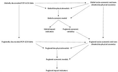 Design and Use of Representative Agricultural Pathways for Integrated Assessment of Climate Change in U.S. Pacific Northwest Cereal-Based Systems